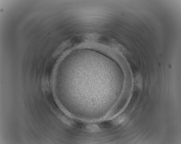 X0000070880572200606231346