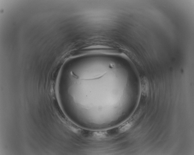 X0000070880573200606231346