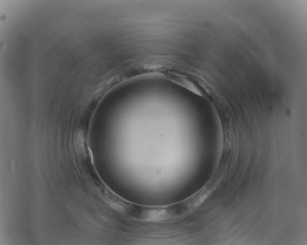 X0000070880575200606231346