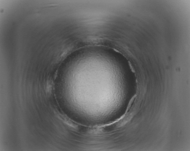 X0000070880576200606231346