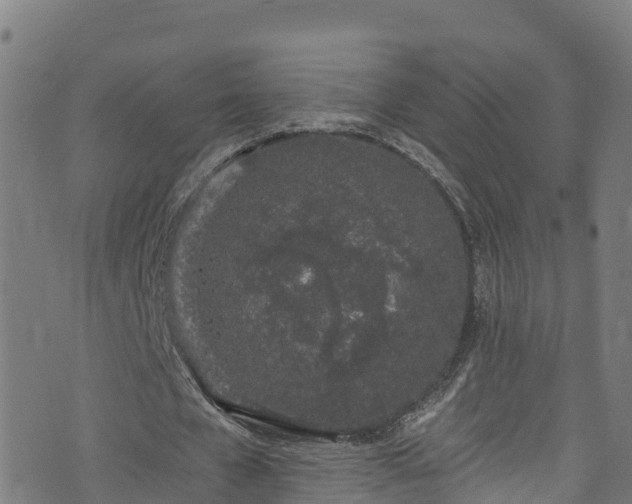 X0000070880577200606231345