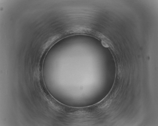 X0000070880578200606231345