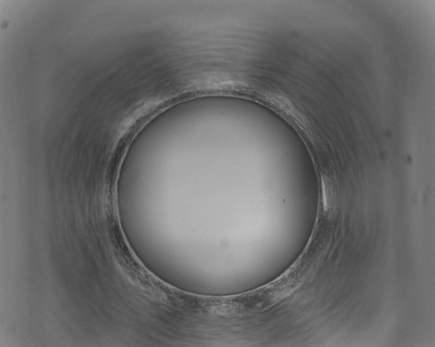 X0000070880579200606231345