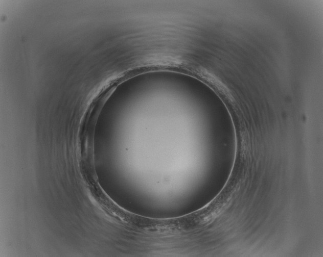 X0000070880580200606231345