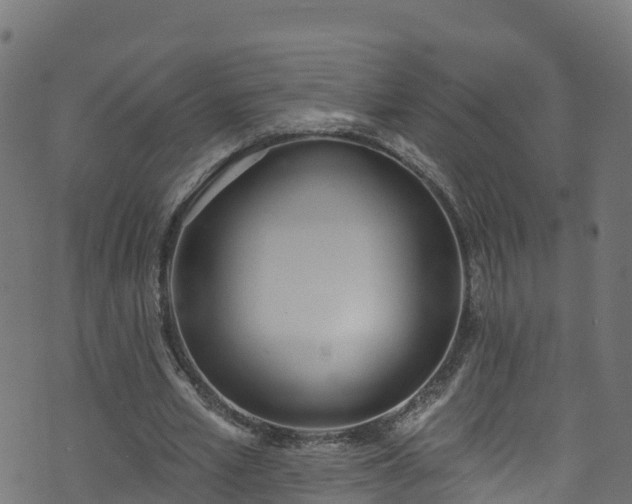 X0000070880581200606231345