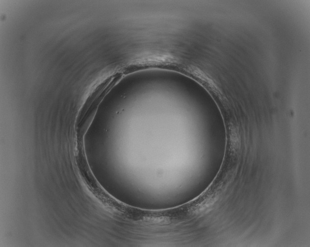 X0000070880582200606231345