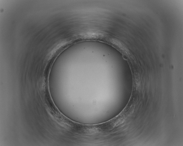 X0000070880583200606231345