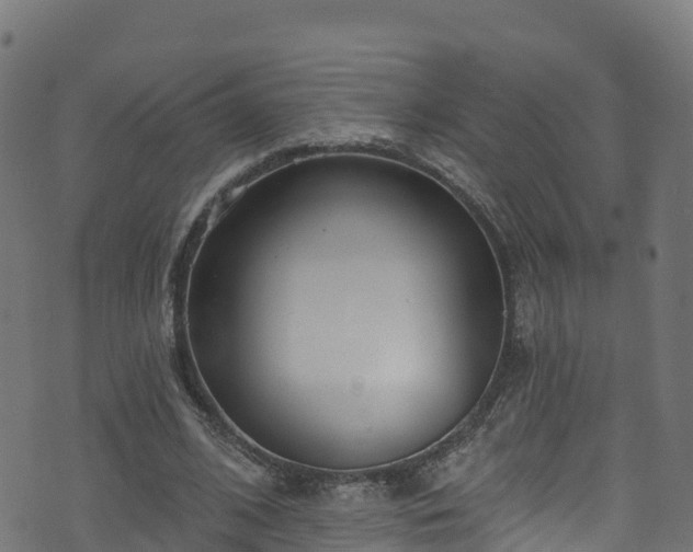 X0000070880584200606231345