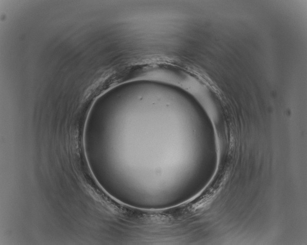 X0000070880585200606231345