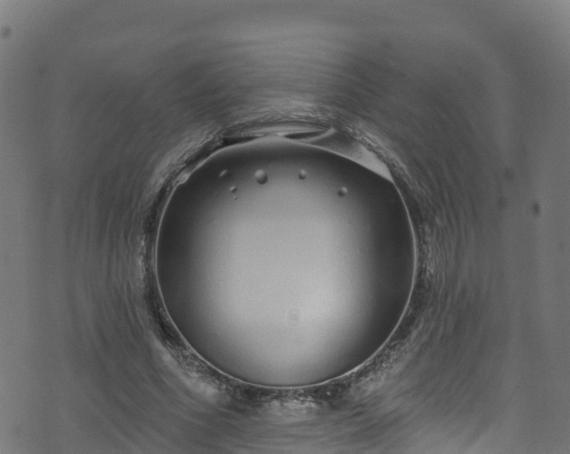 X0000070880586200606231345