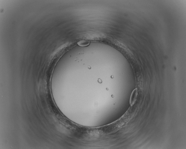 X0000070880587200606231345