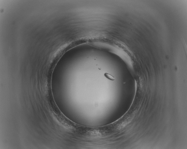 X0000070880588200606231345