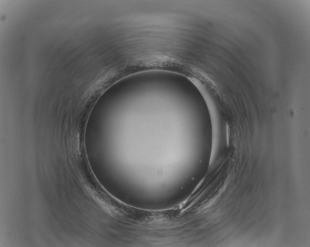 X0000070880589200606231345