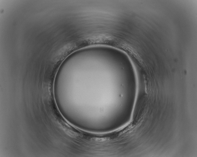 X0000070880590200606231345