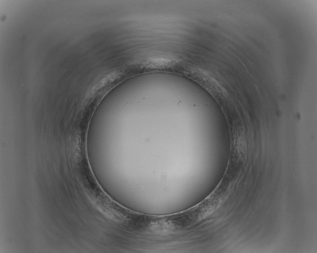 X0000070880591200606231345