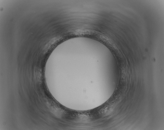 X0000070880592200606231345