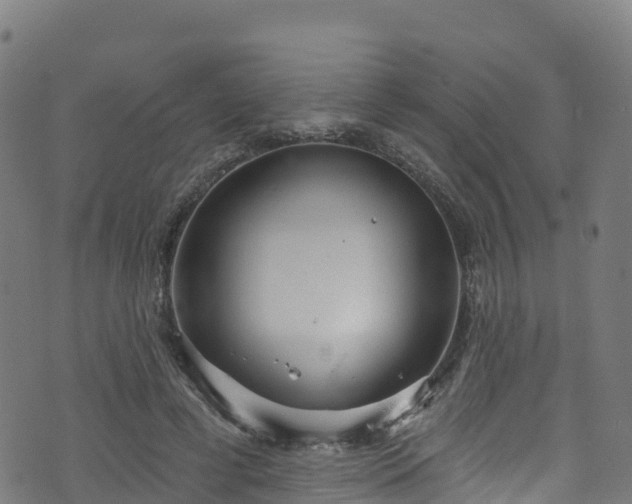 X0000070880593200606231345