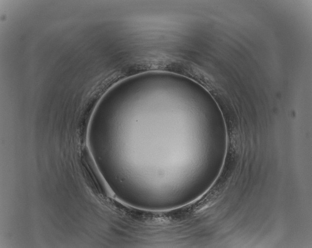 X0000070880594200606231345