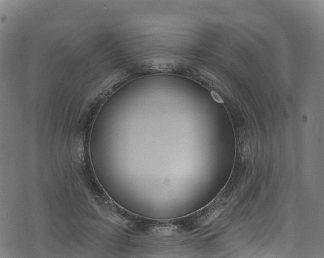 X0000070880595200606231345