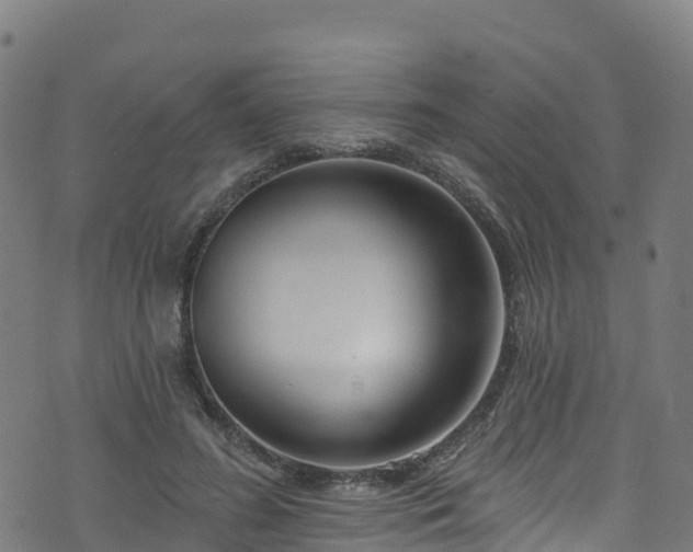 X0000070880596200606231345