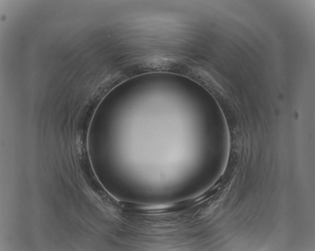 X0000070880597200606231345