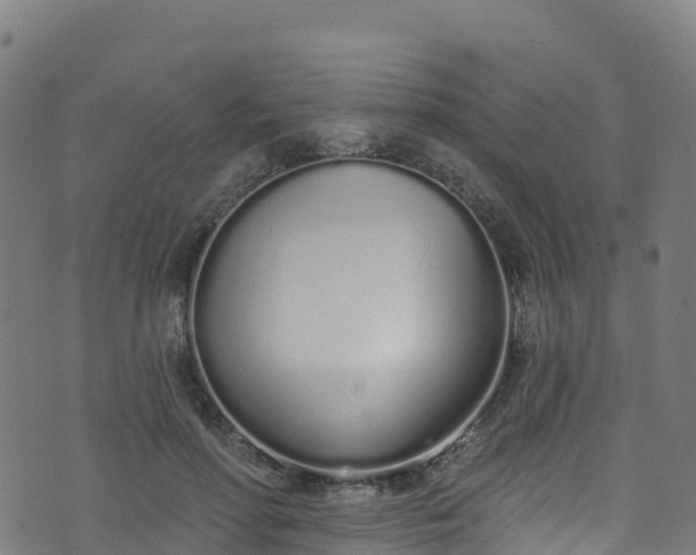 X0000070880598200606231345