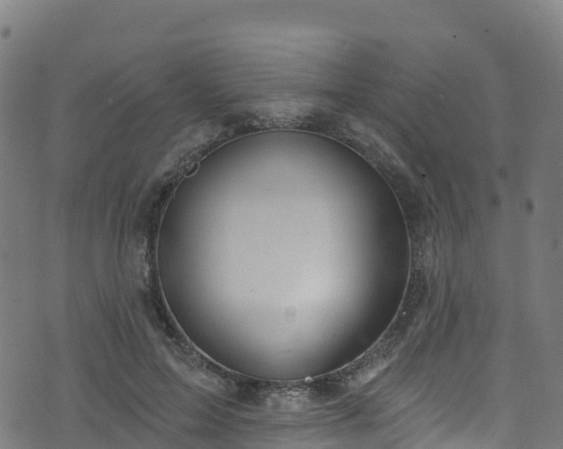 X0000070880599200606231345