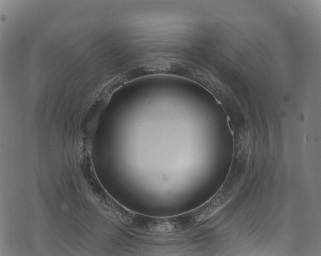 X0000070880600200606231345