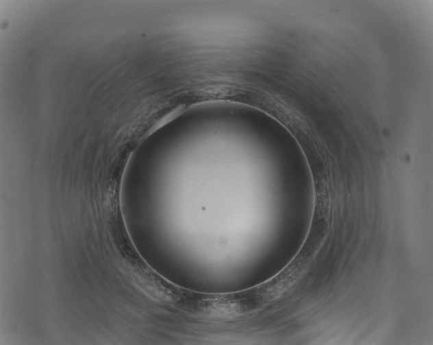 X0000070880601200606231344