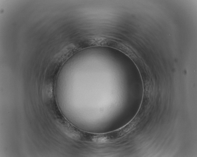 X0000070880602200606231344