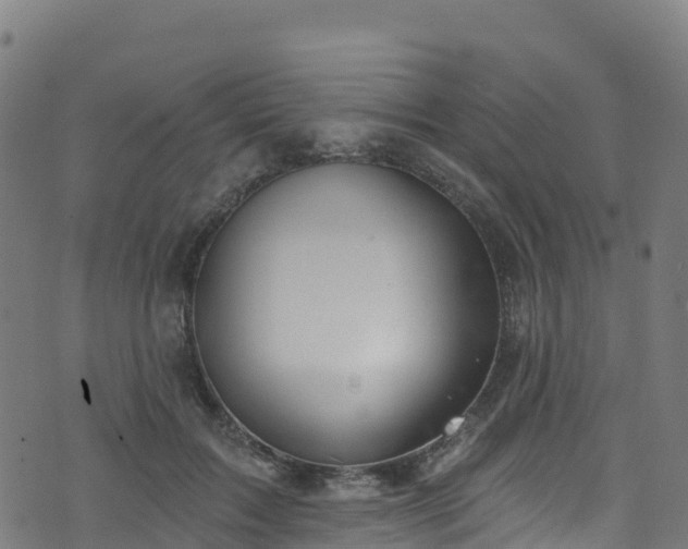 X0000070880603200606231344