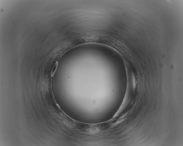 X0000070880604200606231344