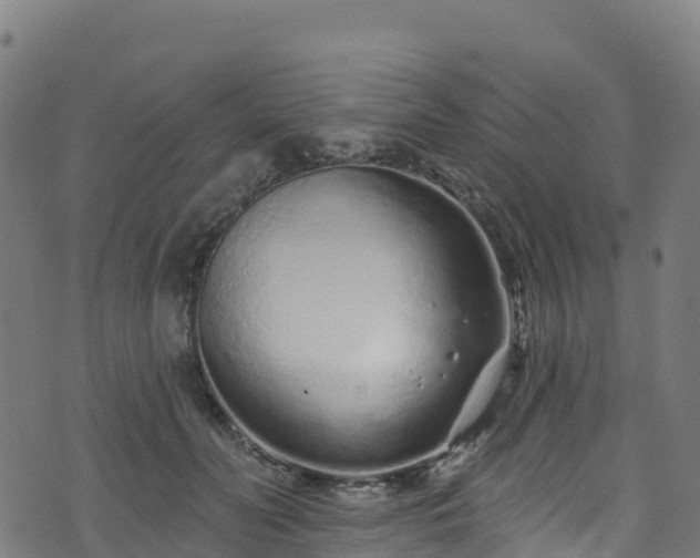 X0000070880606200606231344