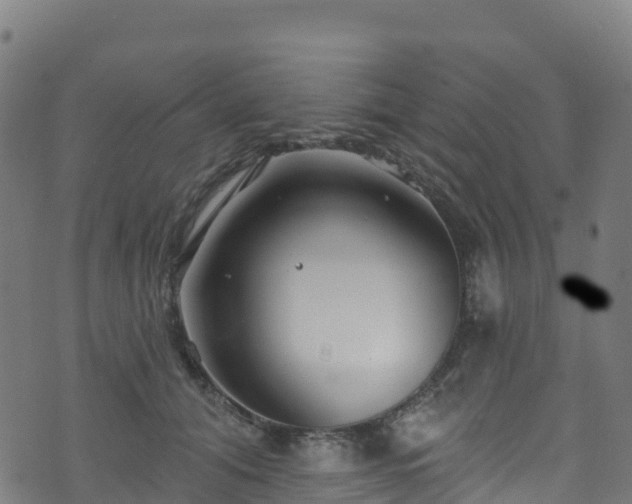 X0000070880608200606231344