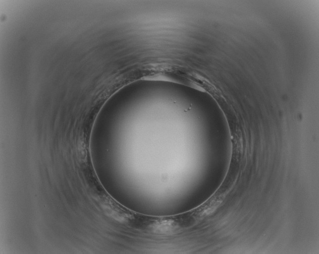 X0000070880609200606231344