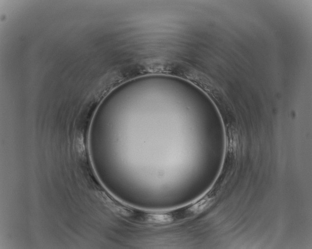 X0000070880610200606231344