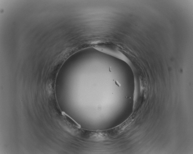 X0000070880611200606231344