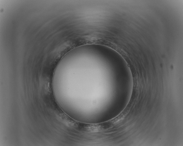 X0000070880615200606231344