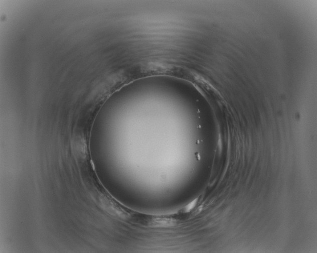 X0000070880617200606231344