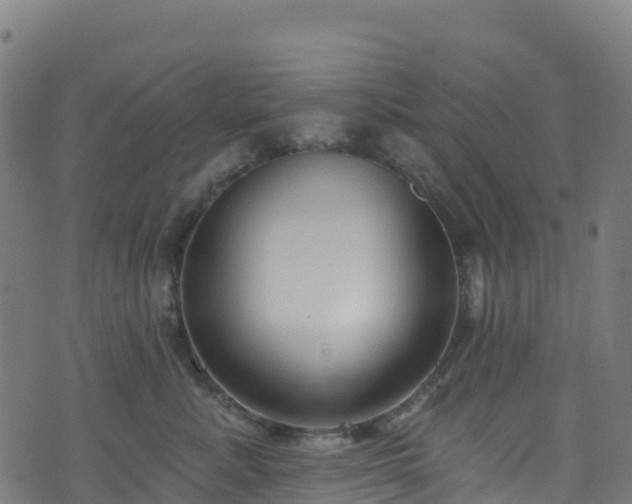 X0000070880619200606231344