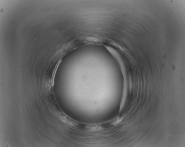 X0000070880621200606231344