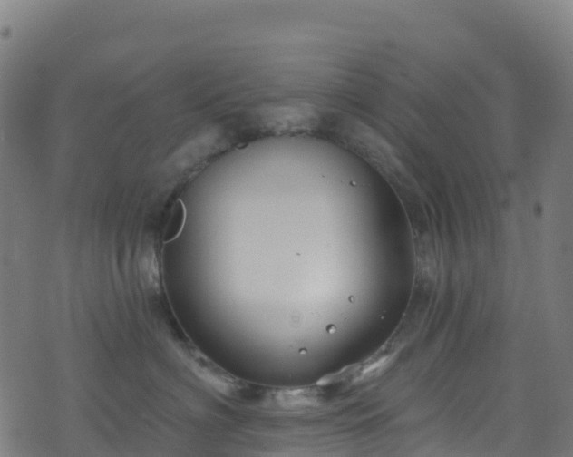 X0000070880622200606231344