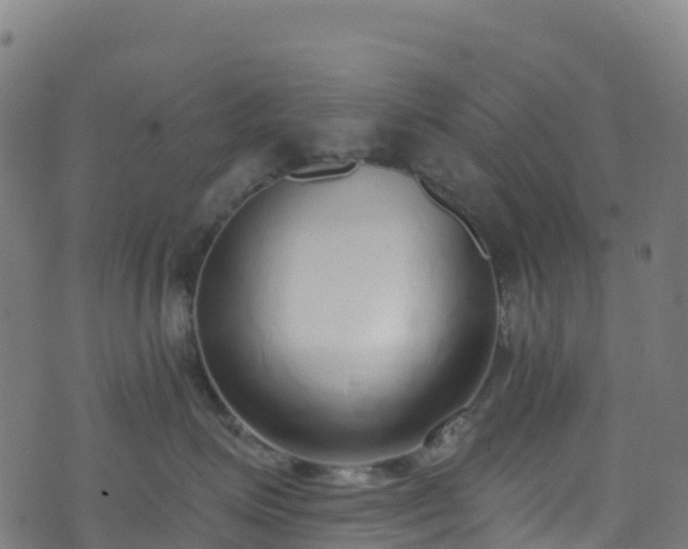 X0000070880623200606231344