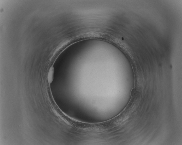 X0000070880625200606231343