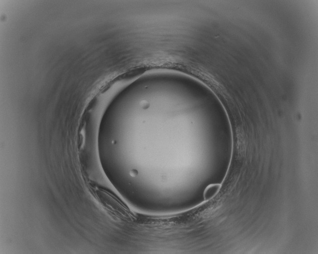 X0000070880626200606231343