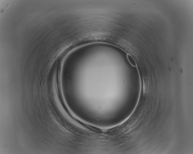 X0000070880627200606231343