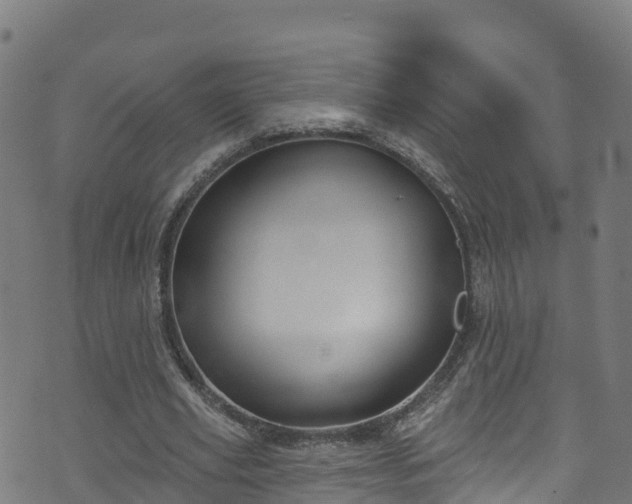 X0000070880629200606231343