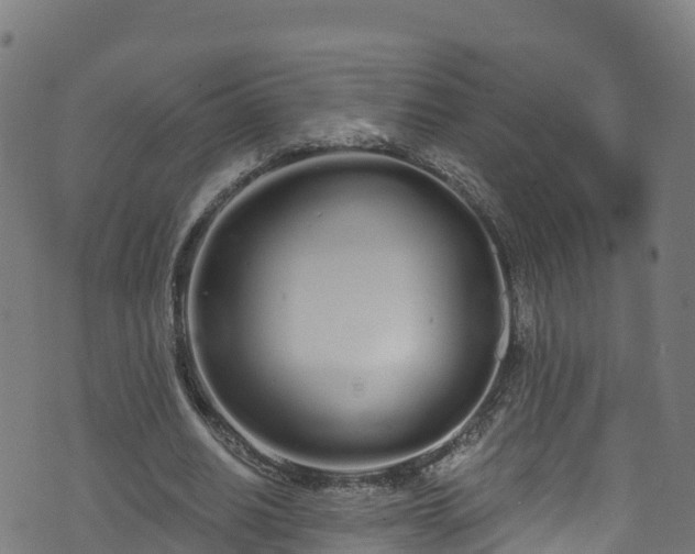 X0000070880630200606231343