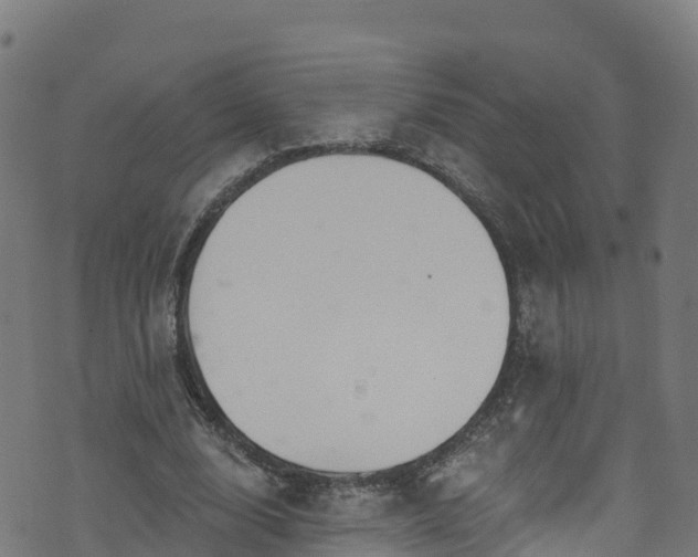 X0000070880632200606231343