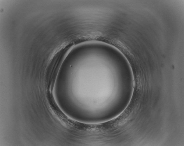 X0000070880634200606231343